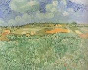 Vincent Van Gogh Plain near Auvers (nn04) china oil painting artist